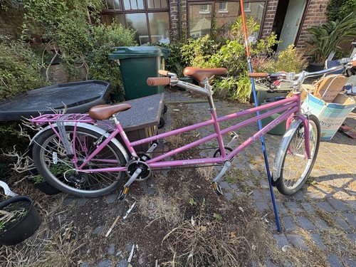 Viking pink link tandem - viking,