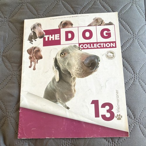 The dog collection issue - dog,