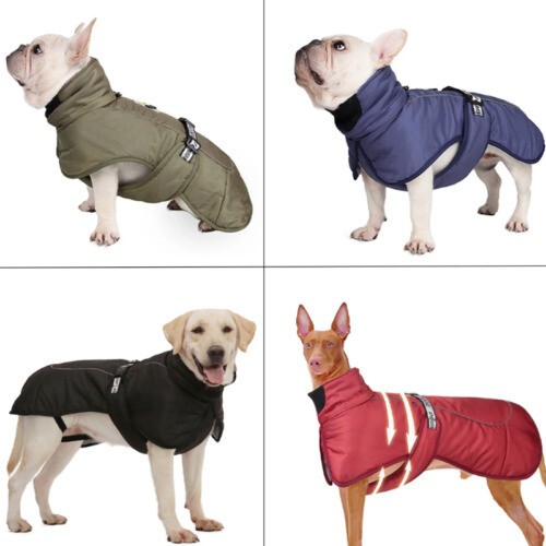 Large dog clothes winter warm - large,