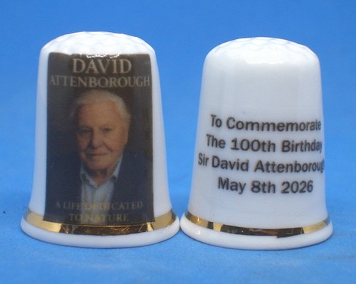 Birchcroft china thimble - thimble, --
