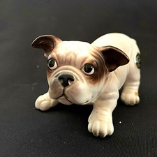 Dog French Bull Dog Puppy