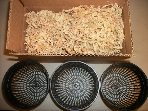 Three inch net - inch, with