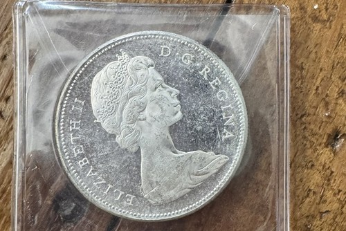 1967 canadian goose - 1967,