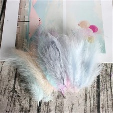 100 Solid Coloured Feathers -