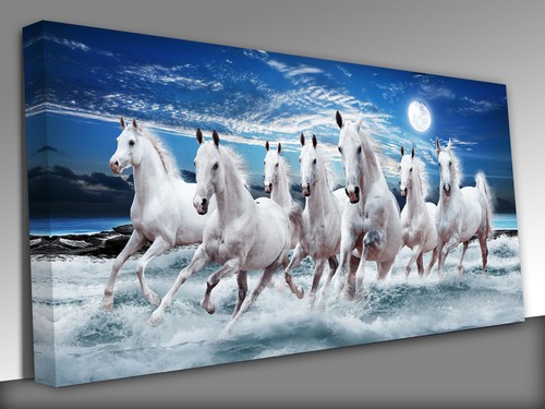 Horses running seascape - horses, full