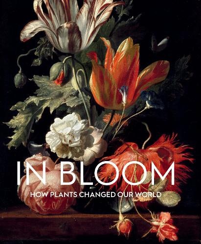 Bloom francesca leoni - bloom, by