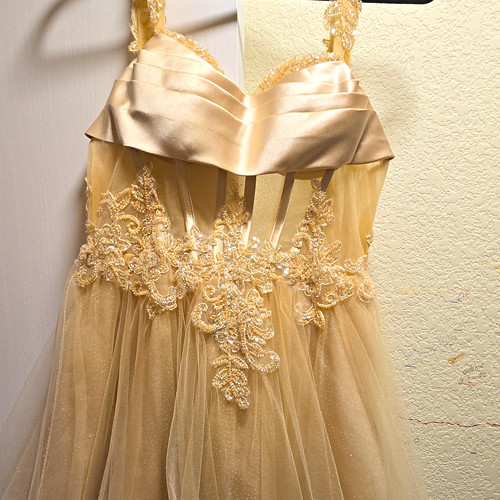 Champagne lace beaded - lace,