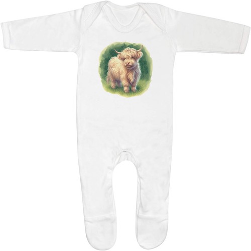 Cute baby highland cow - baby,