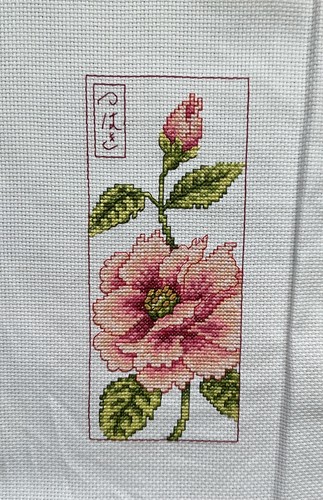 Completed cross stitch - completed,