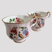 Ridgway Royal Adderley Cup 2x Fine Bone China Vintage Floral Brushed Rim
