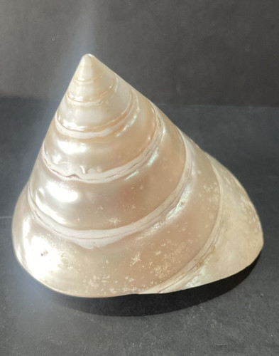 Mother pearl iridescent - mother,