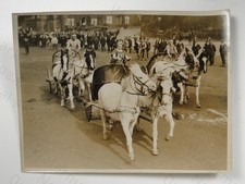 National Circus Chariot Racing