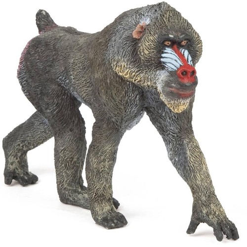 Mandrill monkey figure hand - mandrill,