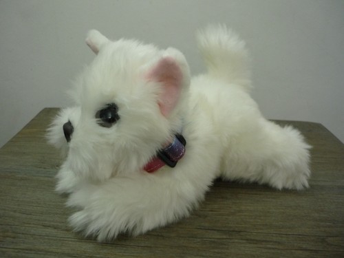Keel cuddle puppies white - keel,