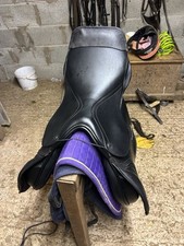 Albion Adjusta K2 17.5 M Black