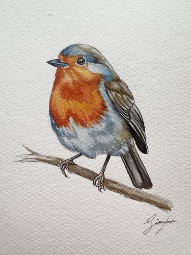 Original robin bird - bird, watercolor