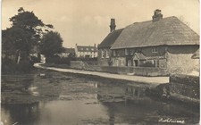 Fishbourne near Chichester. Pond. 