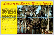 R744617 Legend of the Spanish Moss in Florida Florida Natural Color