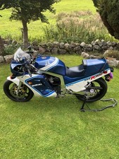 suzuki gsxr 1100 slabside