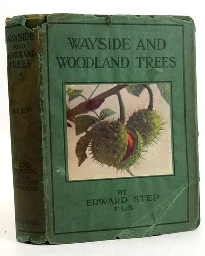 Wayside and woodland - wayside,