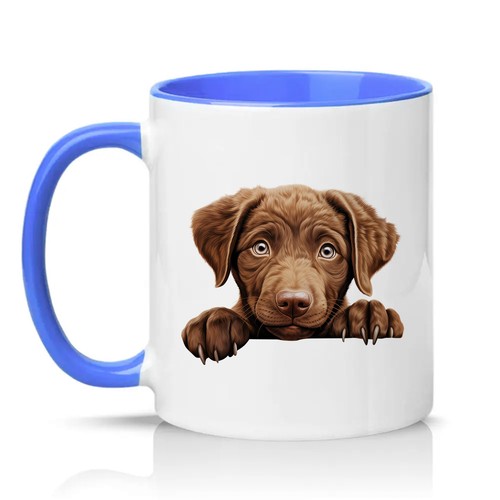 Chocolate labrador puppy - chocolate,