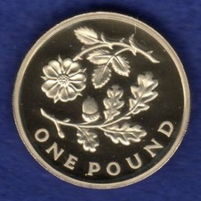 UK 2013 Proof £1 Coin