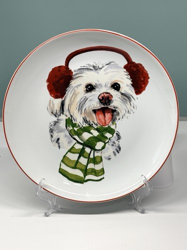 Pier one maltese bichon lhasa - pier,