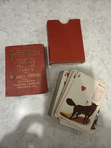 Vintage gypsy witch fortune - vintage,