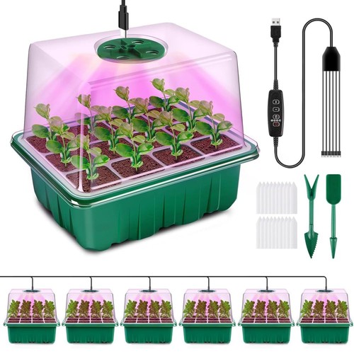 Pack holes seed - pack,