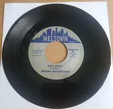 THE SEEBURG SPOTLITE BAND -