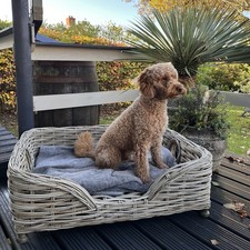 Large Double Weave Wicker Dog Bed Grey Kaboo