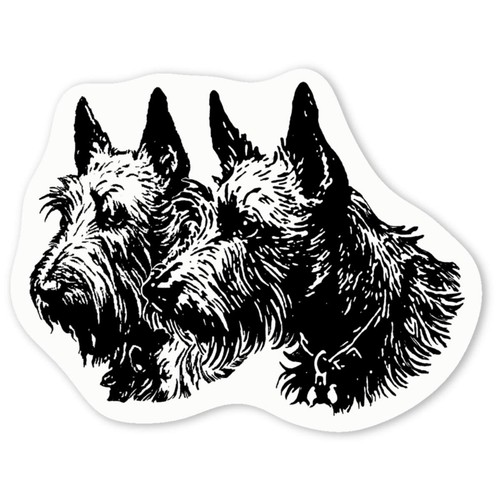 Scottish terrier couple - 'scottish,