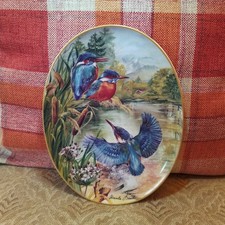 Kingfishers at the Mountain