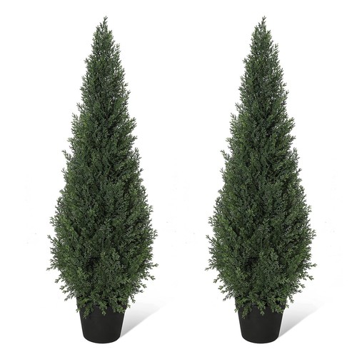 Set artificial cypress - of, 2/1