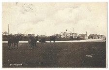Yelverton houses ponies etc 1927 postmarked postcard Plymouth Devon