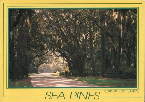 Kevin shields hilton head - kevin,