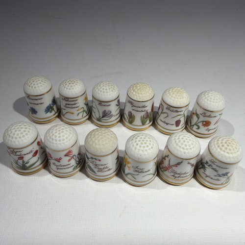 Franklin porcelain thimbles - porcelain,