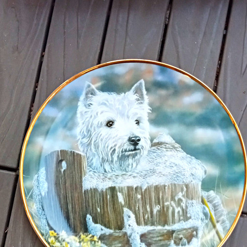 Danbury mint west highland - mint,