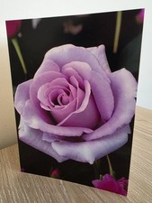 Blue Moon Rose Card - Elegant