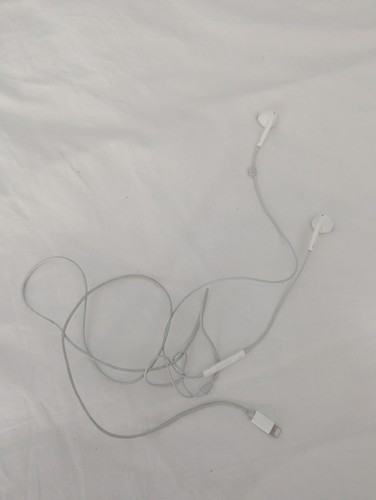 Apple earpods ear - apple,