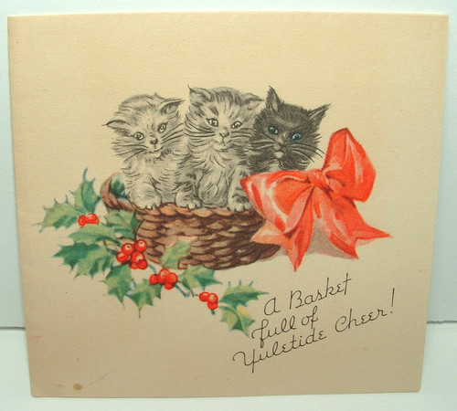 Kittens basket cat - a,