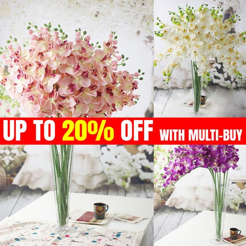 8heads phalaenopsis home decor - 8heads,