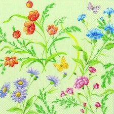 Mayflower Light Green Meadow