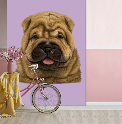 Shar pei puppy - shar, b70