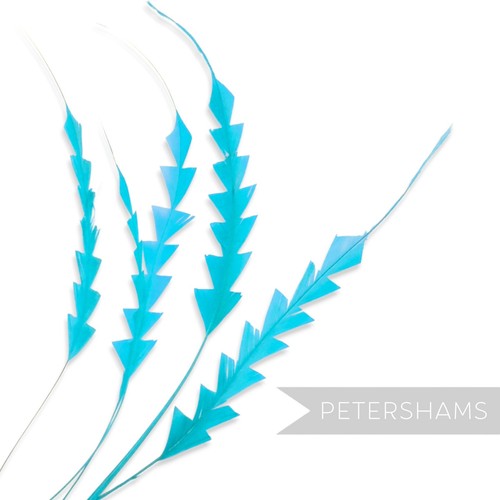 Zig zag coque feather for - zig,
