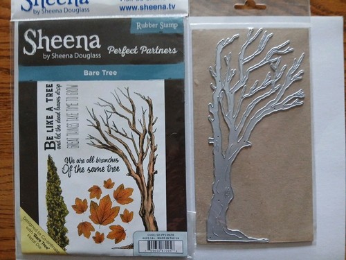 Sheena douglass perfect - sheena,
