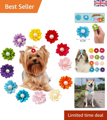 20pcs designer dog - dog, hair