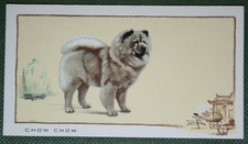 CHOW CHOW   Vintage 1930's Illustrated Dog Card  FE11