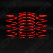 DIRENZA SUSPENSION LOWERING