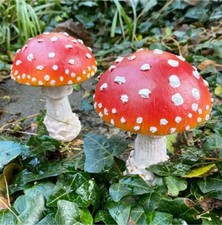 Pair mushroom garden - mushroom,